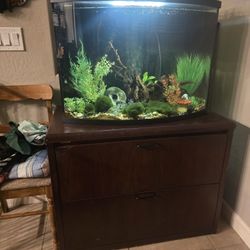 36 Gallon Bow Front Fish Tank