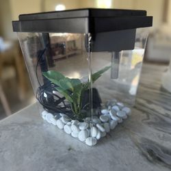 Small Fish Tank 