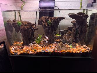 10 Gallon Rimless Glass Fish Tank w/ Filtration, Lights, Decoration and Stand (Fishes NOT included) $150 ONLY