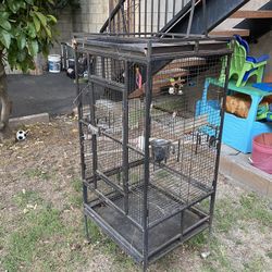 Bird Cage