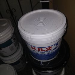 Paint And Primer