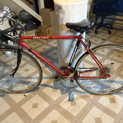 Murray Bike 