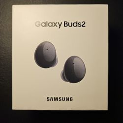 Samsung Galaxy Budd2