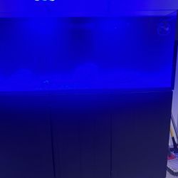 Fish Tank Stand