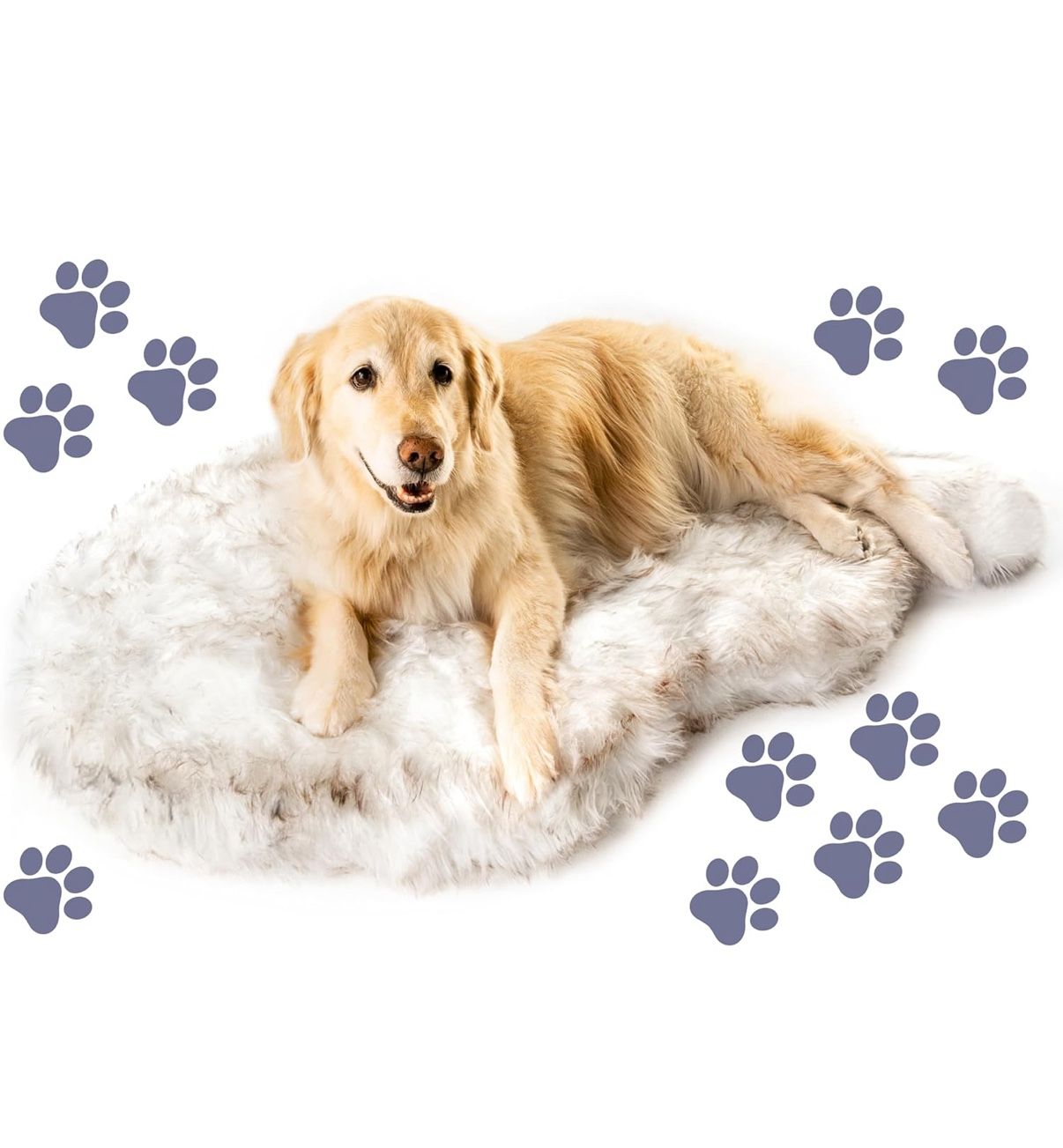 Orthopedic Dog Bed