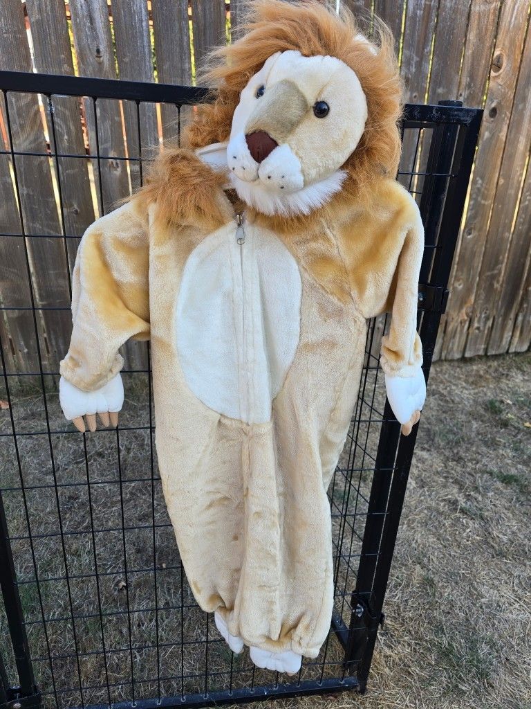 Halloween Costume. Kids Lion