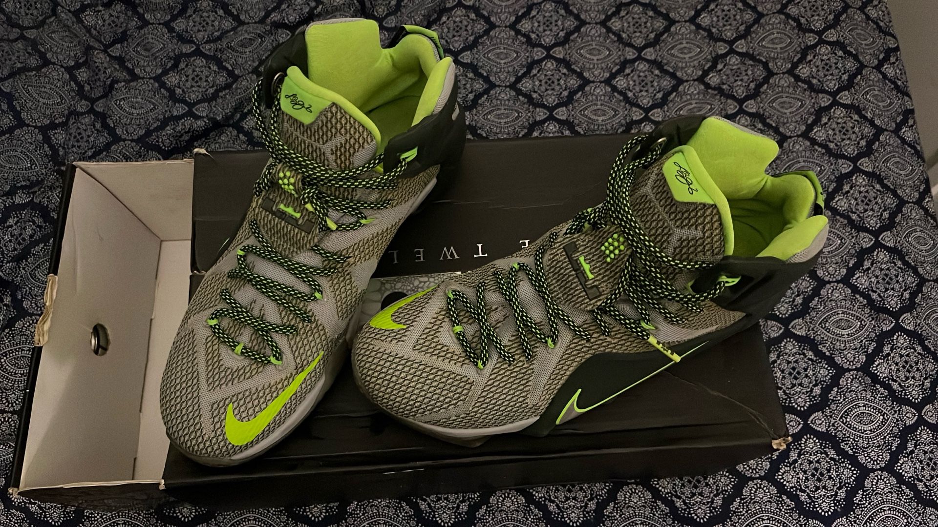 Lebron 12 Size 10 1/2 Rare