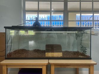 75 gallon glass tank