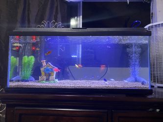 Fresh waster tank 20 gallon u get everything u see