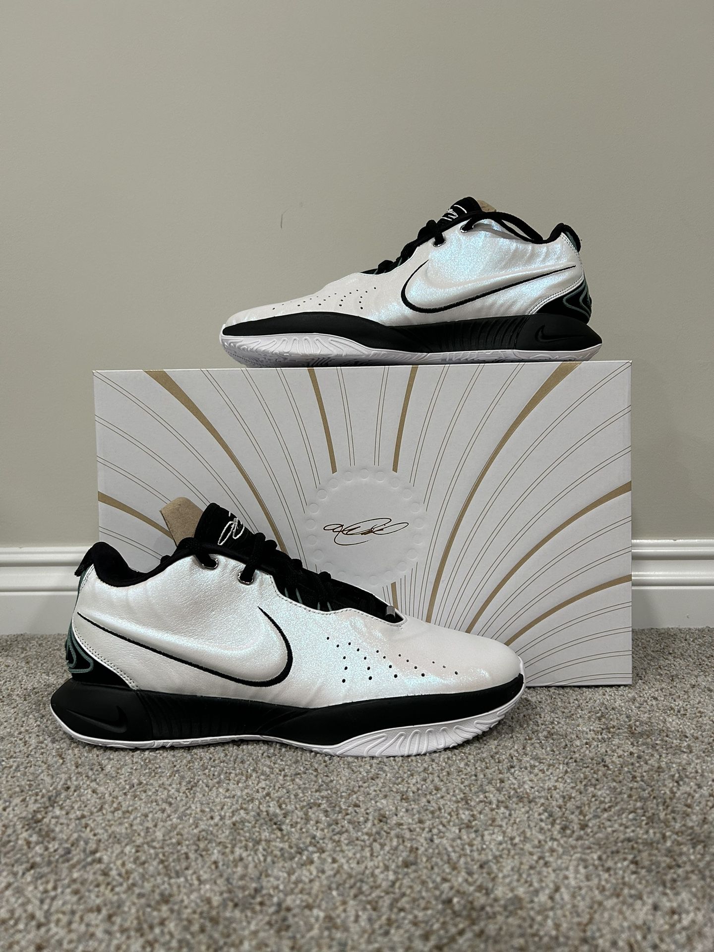 Lebron 21 ‘XXI’ Conchiolin Basketball Shoes Size 11