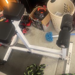 Hyper Back Extension