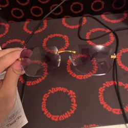 Cartier Glasses Buffalo Horns 