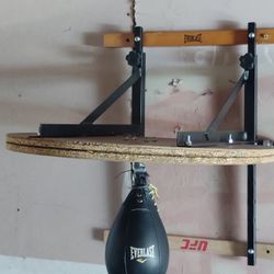 Century Speed Bag 