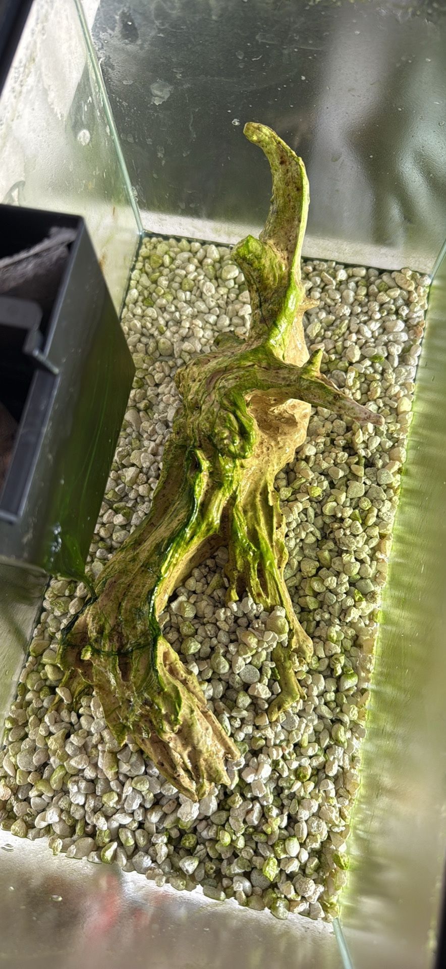 3 Gallon Fish Tank With Wood Decor