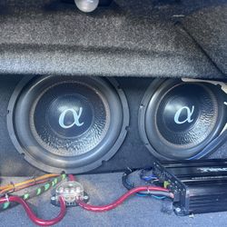 2 12 inch Subwoofers 