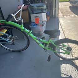 Bike Co-pilot Trailer 