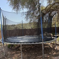 Free Trampoline