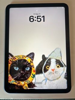 iPad