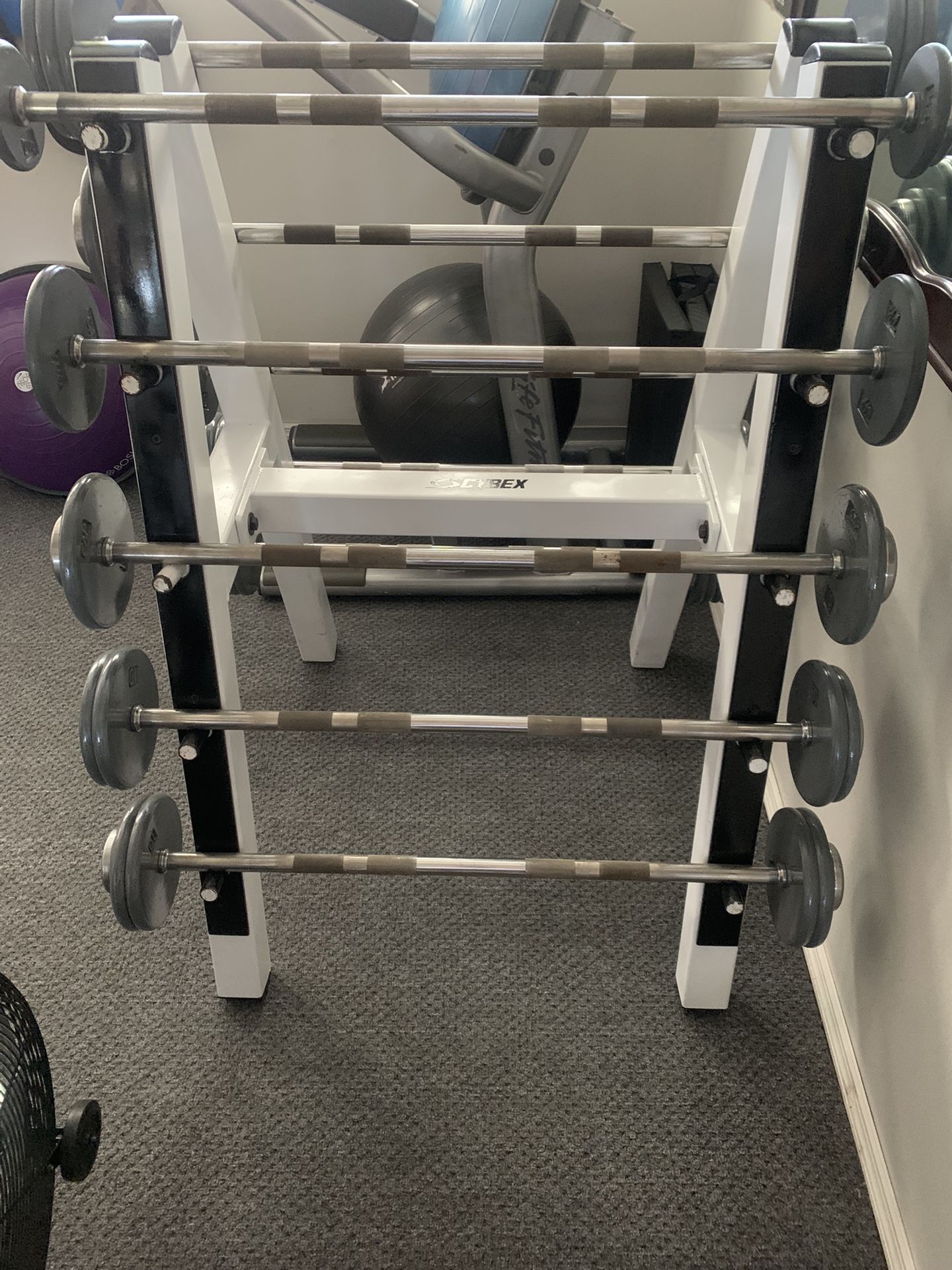 Gym Equipment