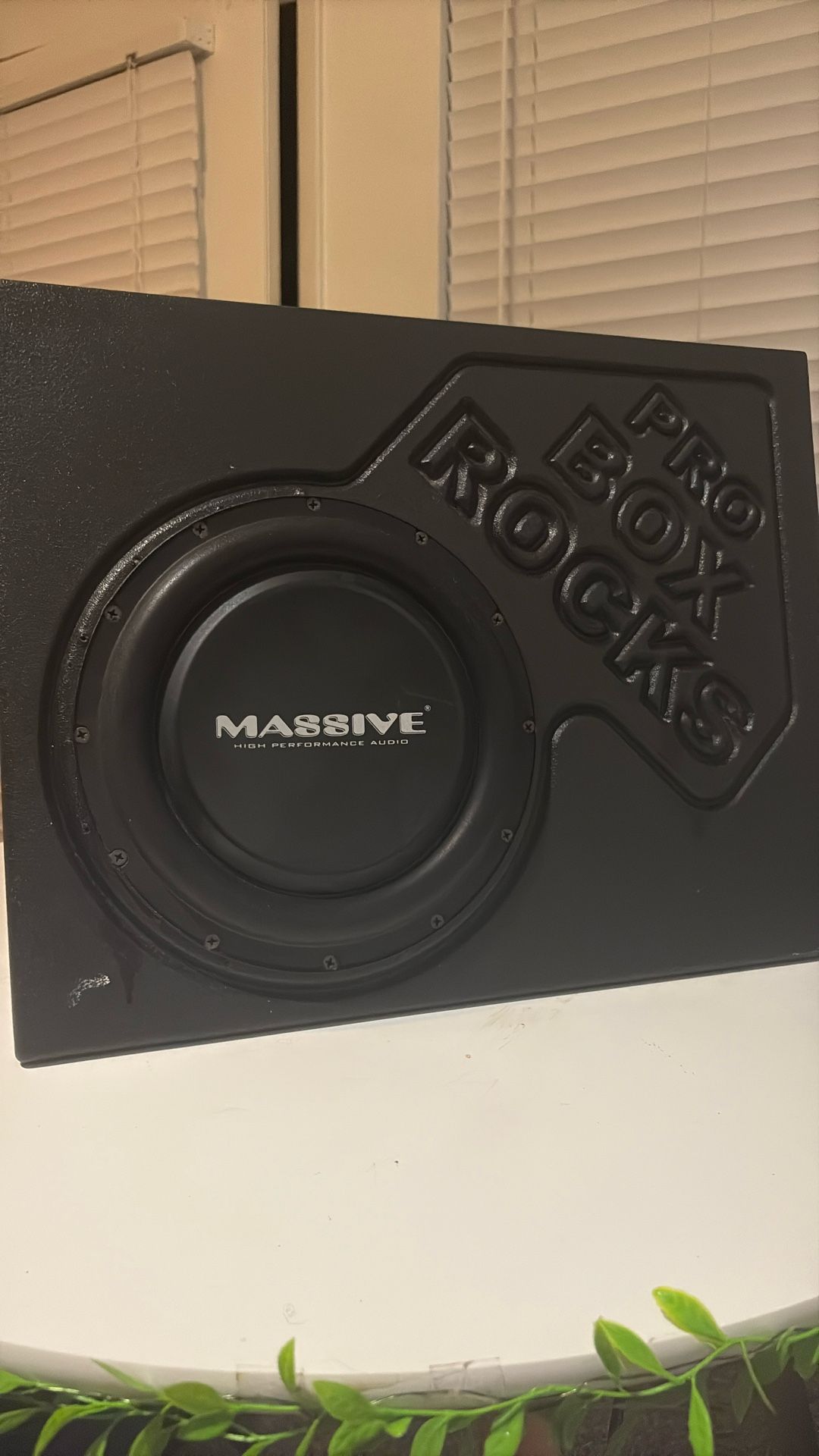 UFO 10 inch subwoofer