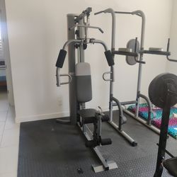 Weider Home Gym With 112lb Weight
