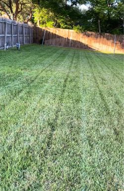Lawn Care
