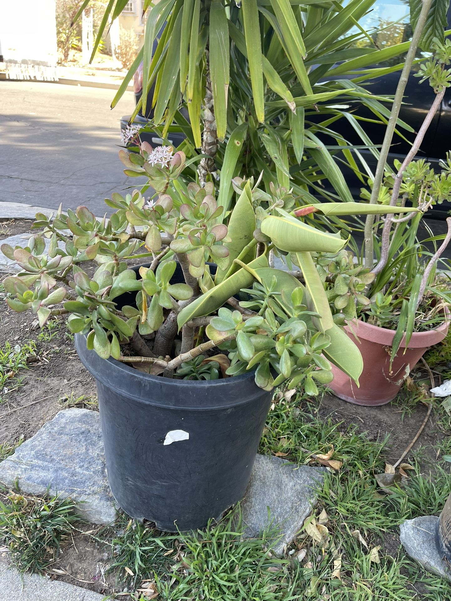 Chairs With Table Metal Vintage