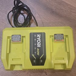 Ryobi 40v Dual rapid charger