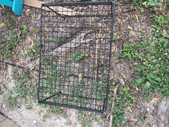 Stackable wire racks