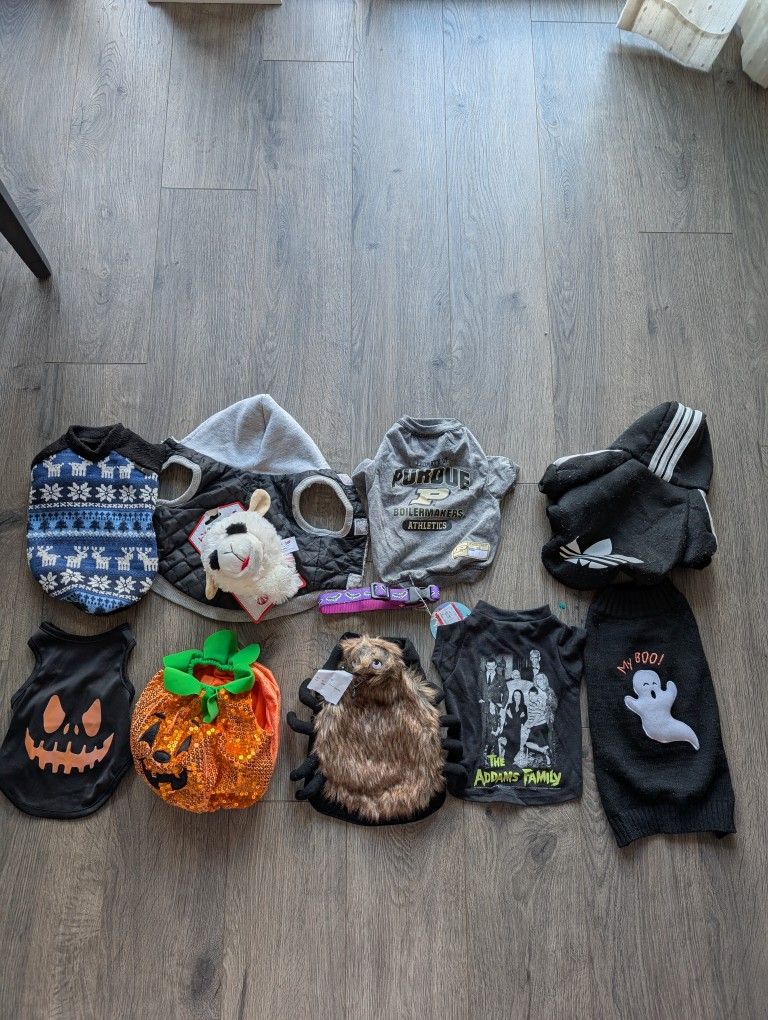 Pets Halloween 