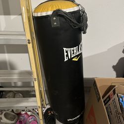 Everlast Punching Bag
