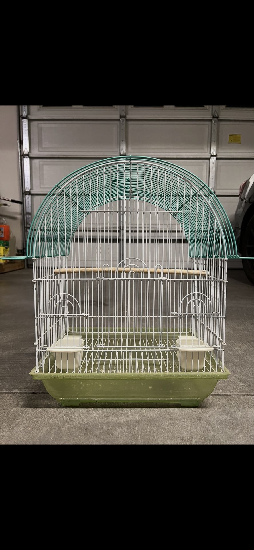 Bird Cage