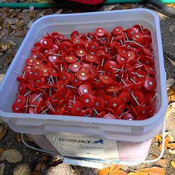1" Roofing Nails 