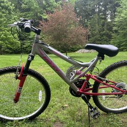 Girls Adult Bicycle 
