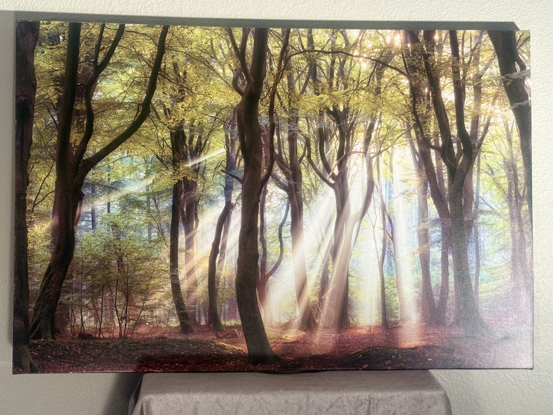 Canvas Wall  Painting / Pictures Frames And Paints with Frames . 