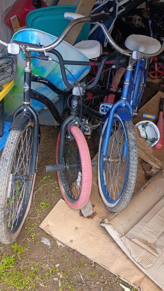 2 Beach Cruiser 1 Dirt Bike