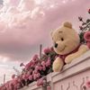 Teddy 🧸