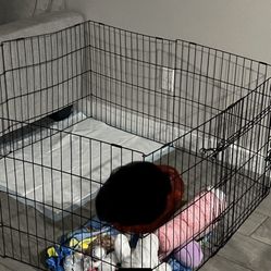 Pet Kennel/cage With Door