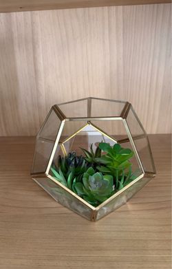 Terrarium Decor 7”