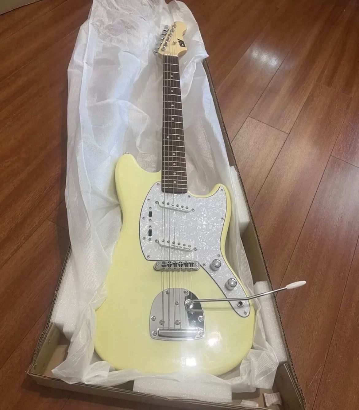 Electric Guitar