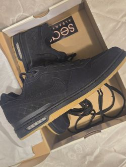 Nike SB air zoom Paul Rodriguez