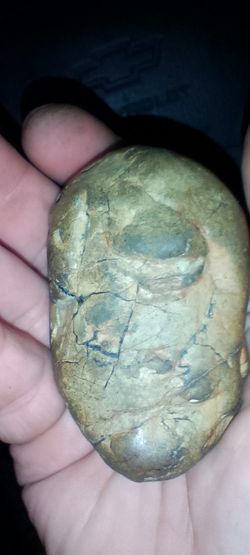 Pre Dinosaur - Pre Known Life. From De Oyster 🦪 🛏️