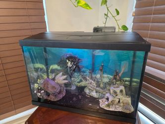 Fish Aquarium