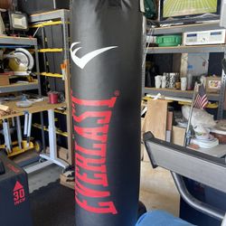 Everlast Punching Bag
