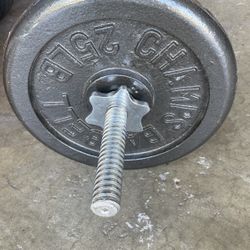50lb Curl Bar W/weight
