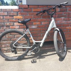 Female Speciiallizer Bike 