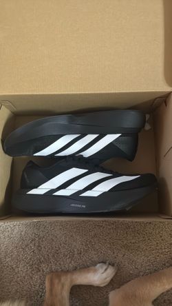Addidas EVO sl
