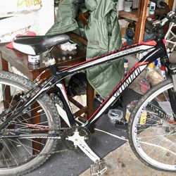 Specialized ASULT BIKE