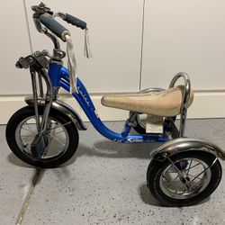 Schwinn Roadster Tricycle, 12 Inch Front Wheel Bike for Kids Ages 2-4