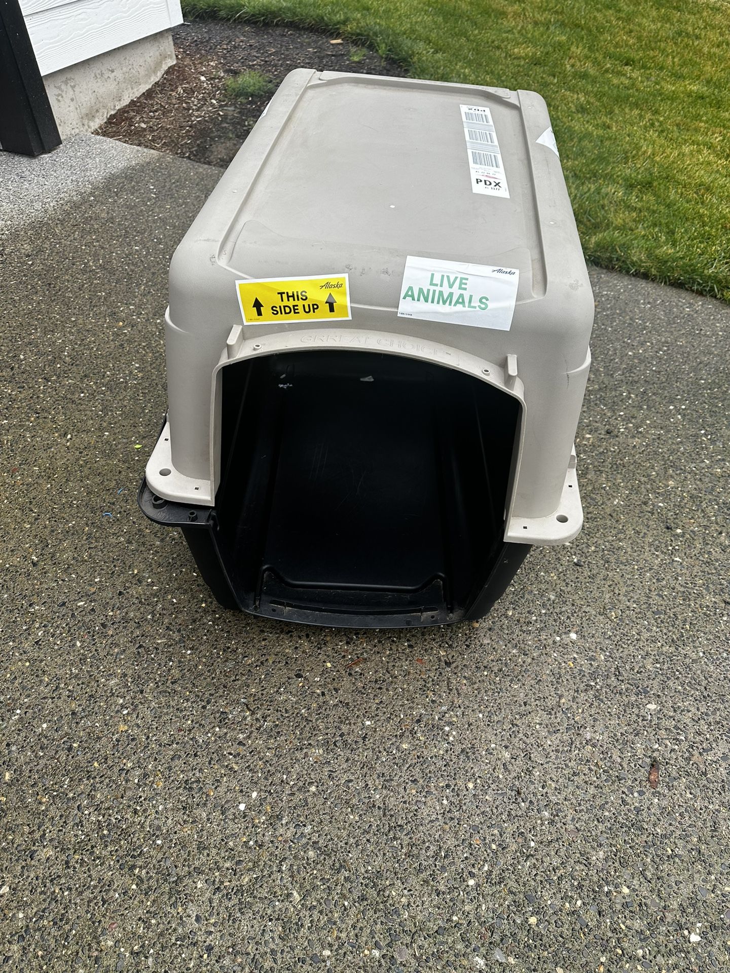 Dog Kennel